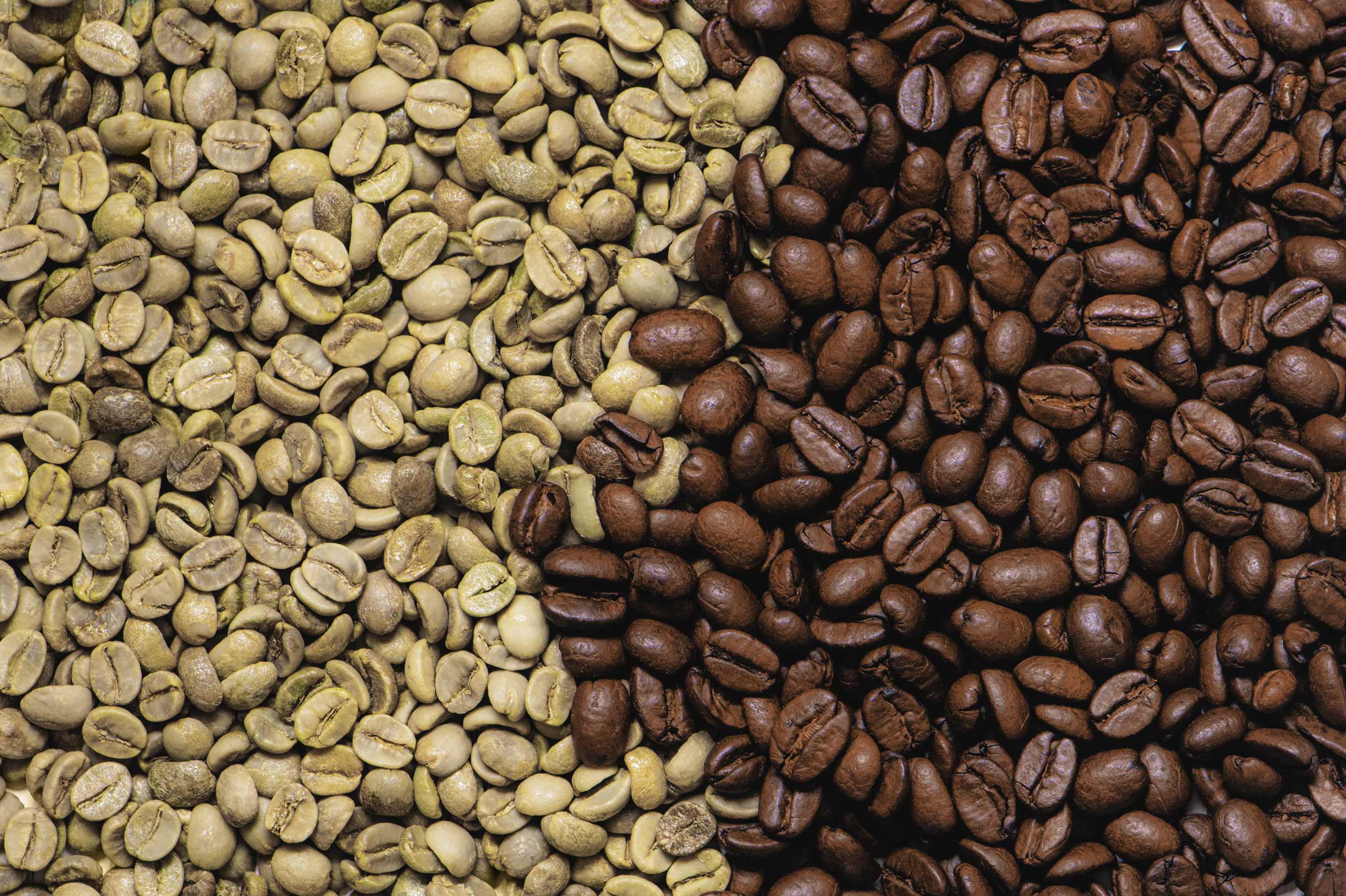 Working with coffee growers